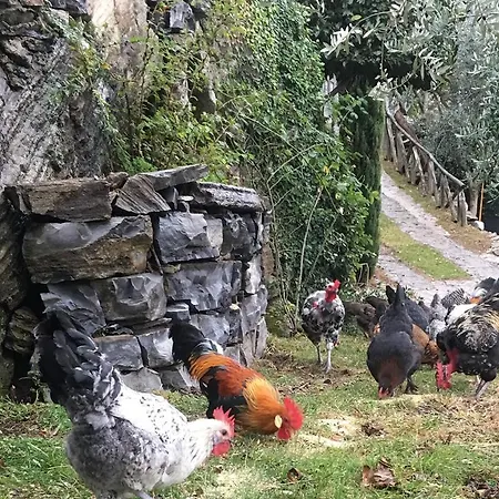 Casa Vacanza Castagna *