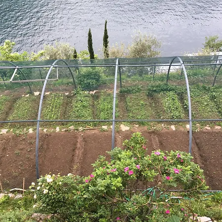 Tatil Evi Casa Vacanza Castagna