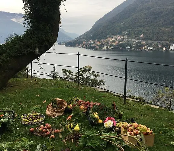 Hébergement de vacances Casa Castagna *