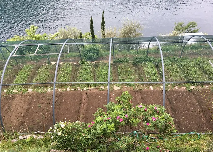 Hébergement de vacances Casa Castagna