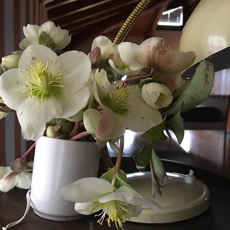 Casa Castagna * نيسّو