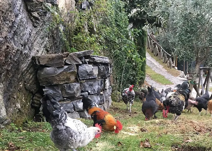 Casa Vacanza Castagna *